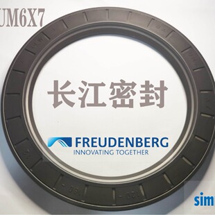 德国 BAUM6X7 骨架油封 氟胶进口油封DIN3760 A 90-120-12 CFW