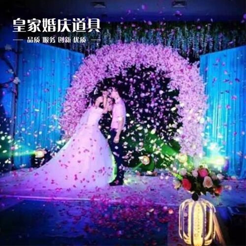 婚庆花瓣雨 礼炮 结婚礼花筒 开业道具 求婚用品 舞台礼宾花 彩带 - 封面