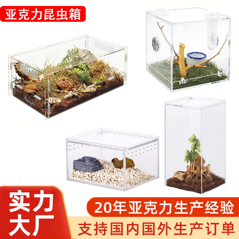 亚克力宠物爬虫蜘蛛蜥蜴蛇变色龙蝎子展示饲养造盒子景昆虫箱定制