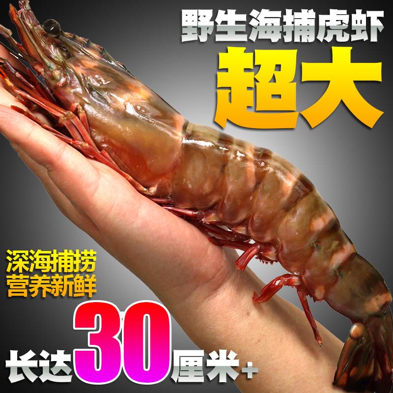 超大黑虎虾红虎虾海虾新鲜大虾海鲜鲜活冷冻特大巨型红爪斑节对虾