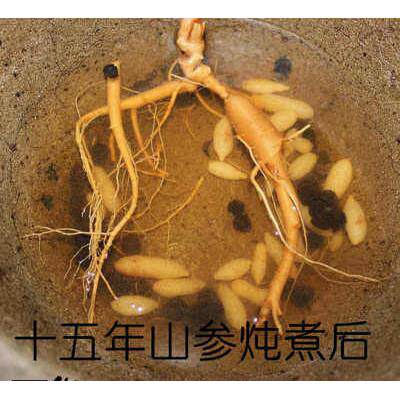传统人参 秋冬进补必不可少的宝贝 人参泡酒煲汤