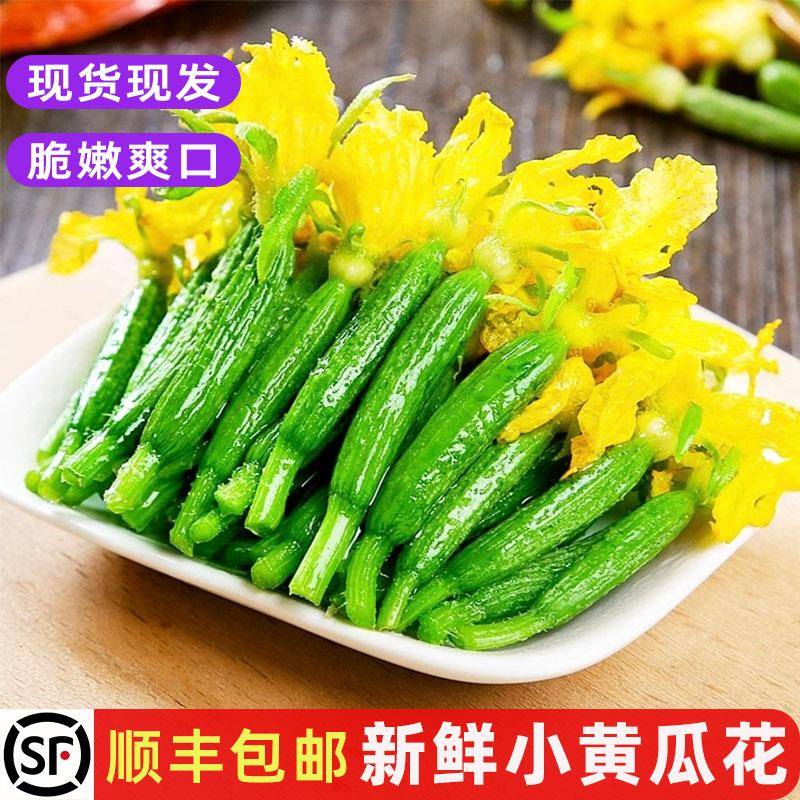 新鲜小黄瓜花迷你青瓜花苗餐厅酒店炒食农家乐蔬菜包邮1500g/箱