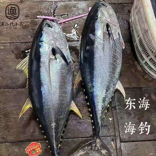 新鲜东海海钓蓝鳍黄鳍鲔鱼刺身级顺丰可免费帮切拍前联系 客服