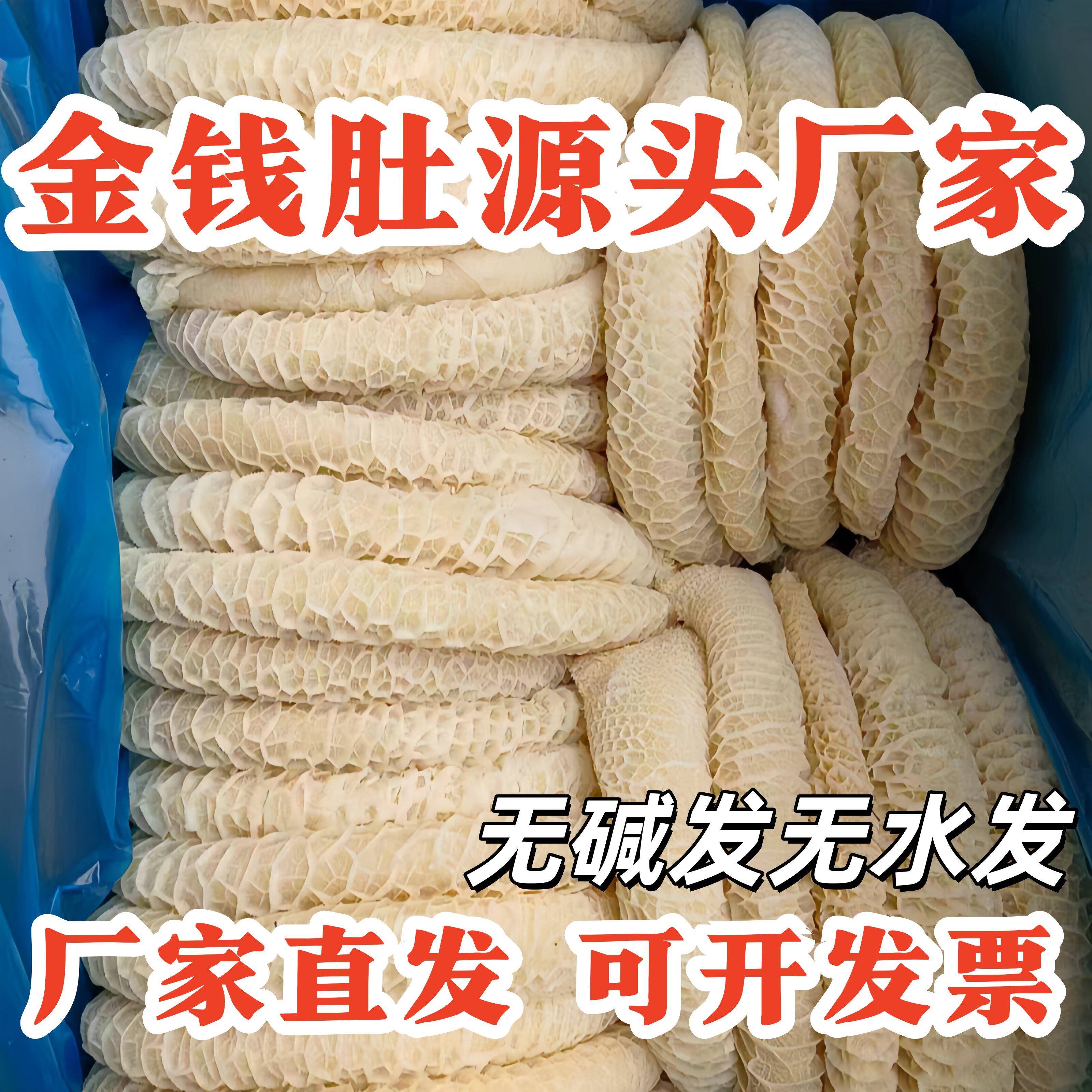 牛肚金钱肚新鲜商用半成品整个蜂窝肚冷冻生鲜熟牛杂火锅