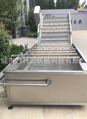 万利源果蔬气泡清洗机压喷淋式洗菜设备清洗无死角脱盐去农
