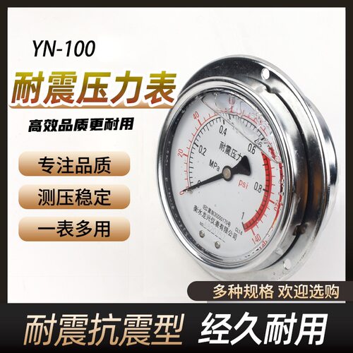 YN100ZT轴向带边耐震压力表面板式背接液压气压水压20*1.5螺纹