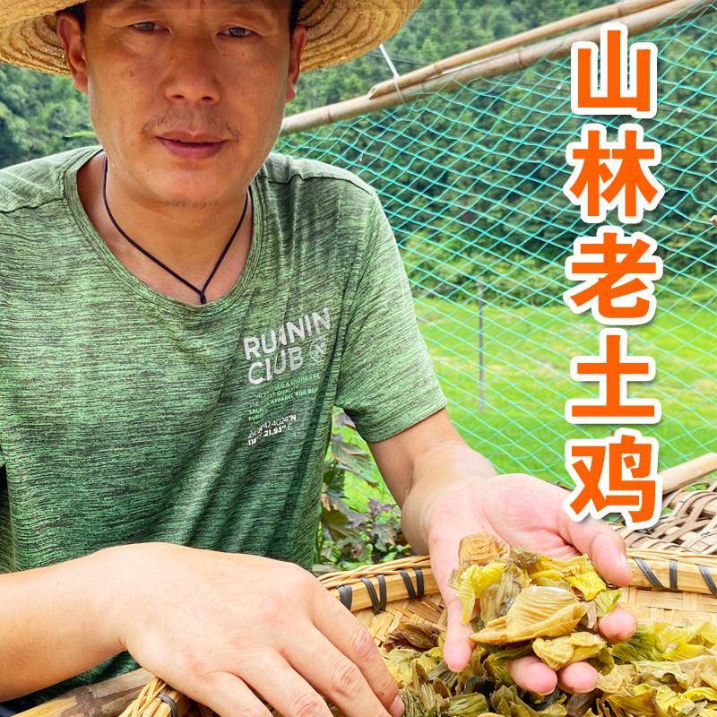 山林散养土鸡内金中药材250g生鸡内金干货农家鸡内金粉鸡内金片