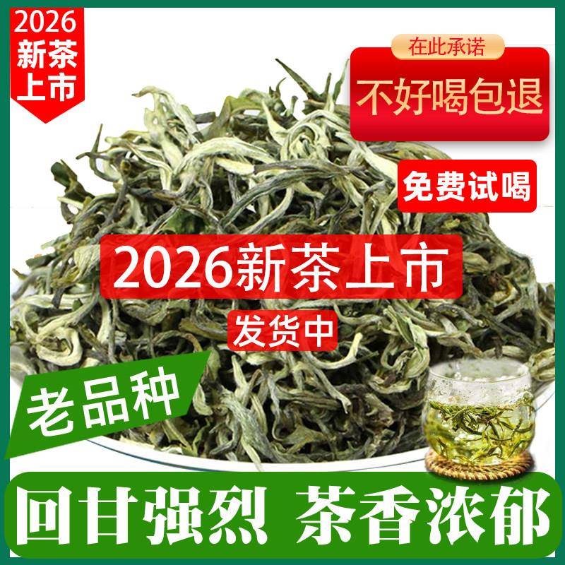 云南绿茶2026年新茶明前春茶浓香春尖特级散茶滇绿500g自己喝茶叶