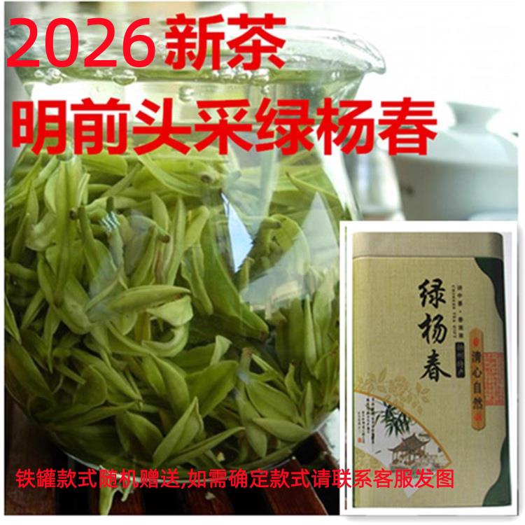 2026新茶 明前 绿杨春头采一芽一叶 捺山绿茶礼 盒250g