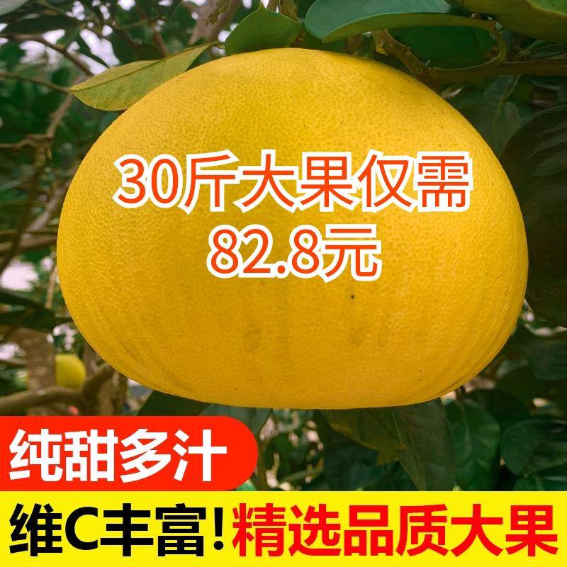 重庆特产正宗梁平柚子70年老树龙滩柚现摘现发新鲜水果包邮