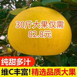 重庆特产正宗梁平柚子70年老树龙滩柚现摘现发新鲜水果包邮