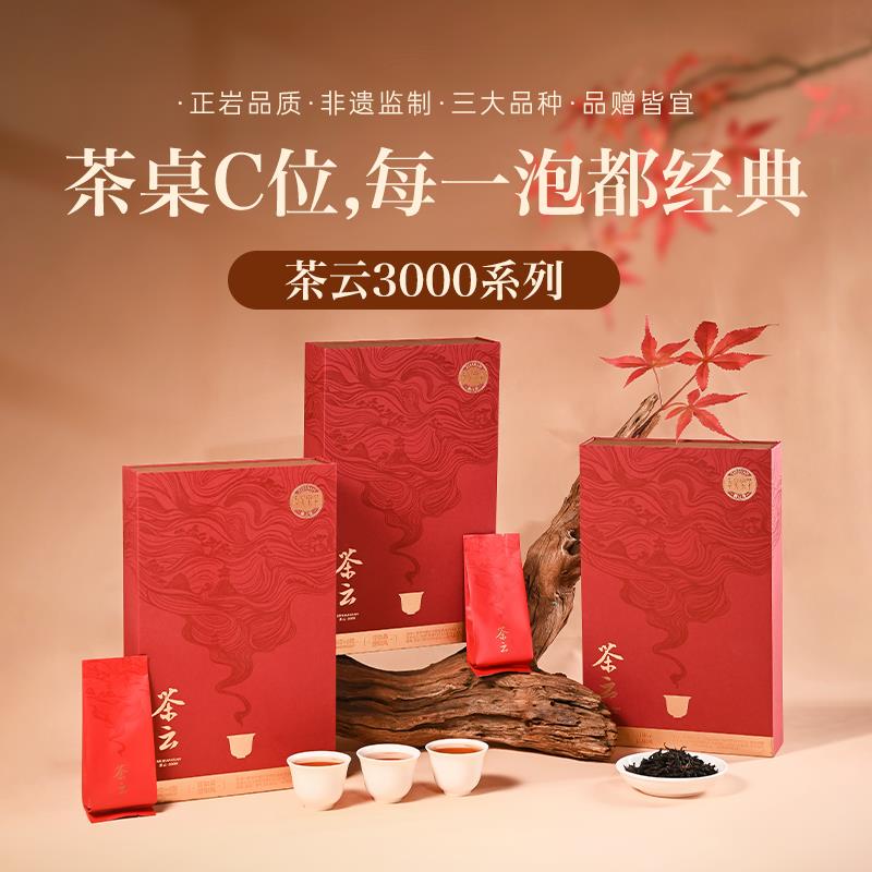 孝文家茶茶云武夷山肉桂岩茶正岩大红袍乌龙茶叶水仙过节送礼单盒