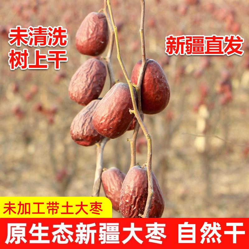 新疆大枣原生态2025年新红枣未清洗树上挂干5斤特级和田大枣