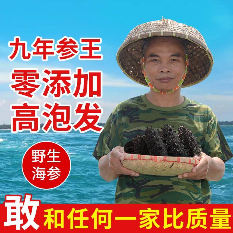 大连海参干货500g特价250g正品经营店海参礼盒野生淡干海生辽参渗