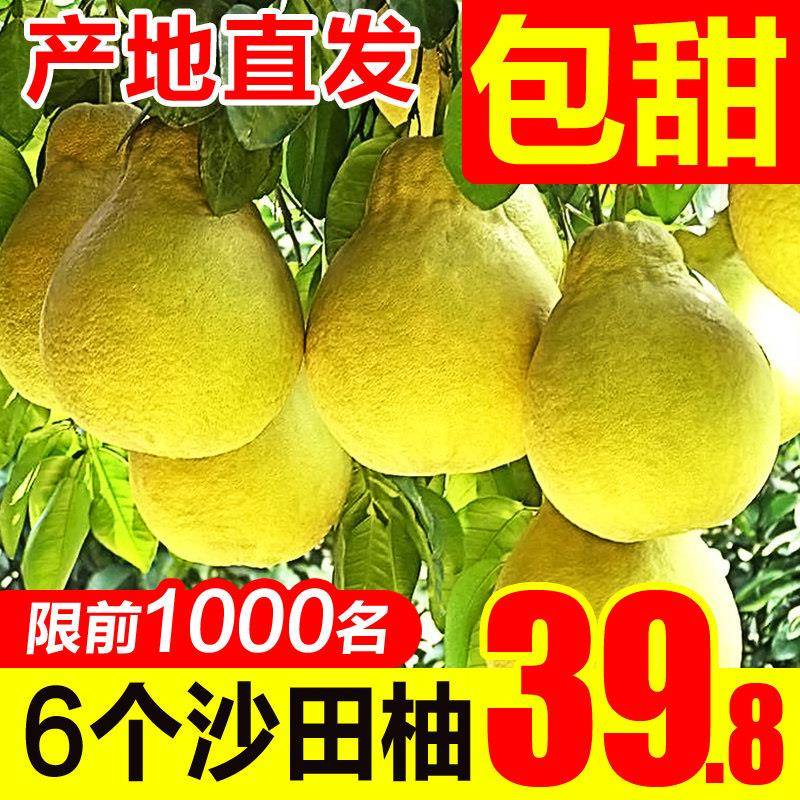 广西容县沙田柚新鲜白心柚子水果纯甜现摘9斤包邮非梅州蜜柚金柚