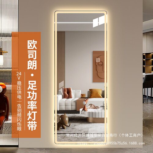 24V高亮led智能穿衣镜挂墙带灯全身镜子家用衣帽间发光试衣镜其它
