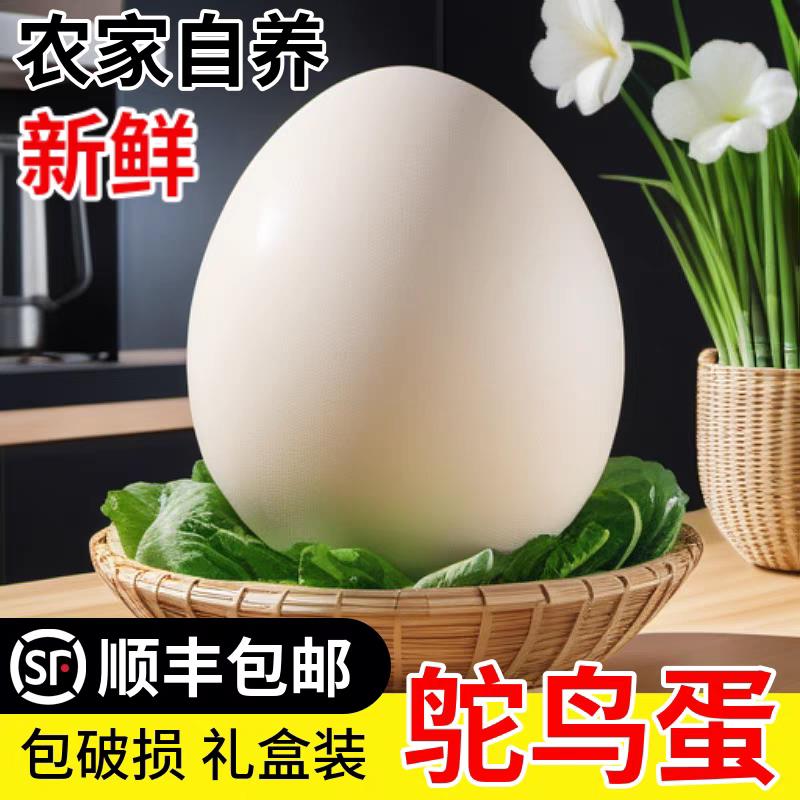 鸵鸟蛋新鲜大号食用农村散养过节送礼盒营养丰富破损包赔宅配到府