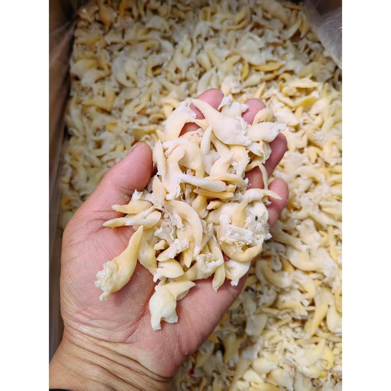 没科技狠活 干贝尖500g海鲜干货贝尖肉蚬子尖 蛤蜊干黄蚬子鸟贝肉