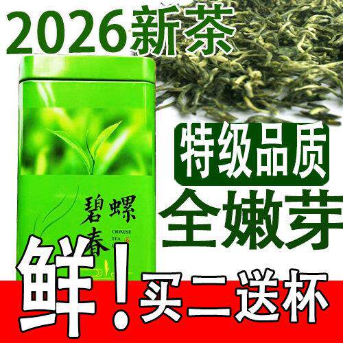 茶农头采 2026新茶叶绿茶 苏州特香明前特级碧螺春250克 嫩芽