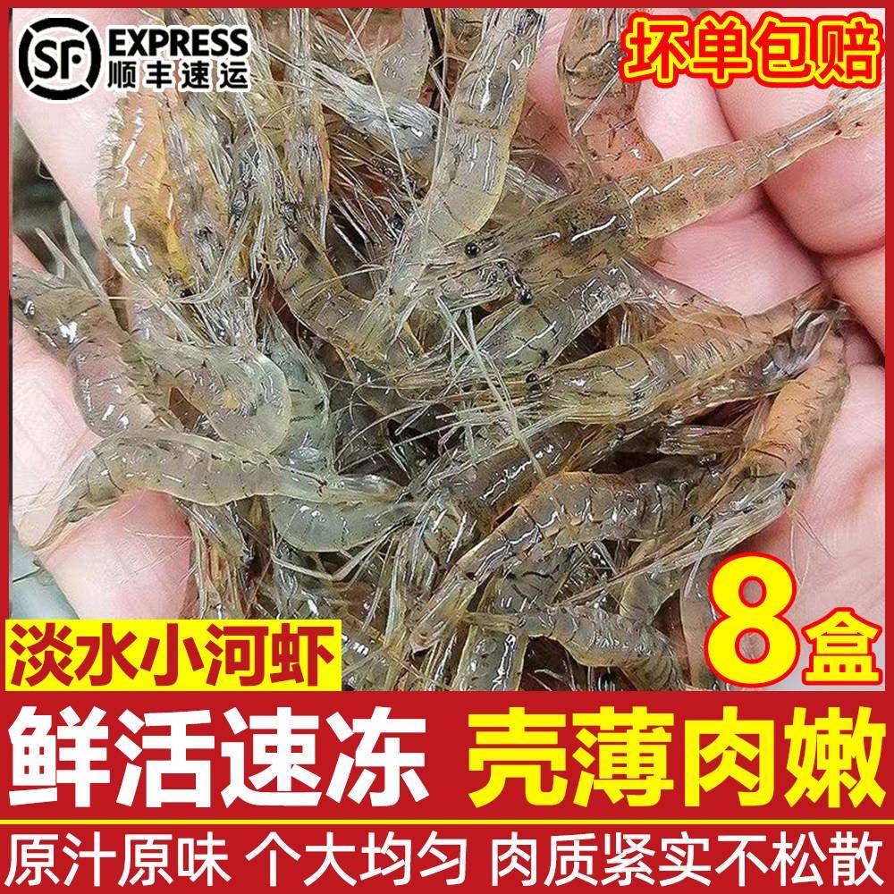 小河虾鲜活冷冻小白虾青虾新鲜冷冻明虾当天现捕小草虾非海鲜水产