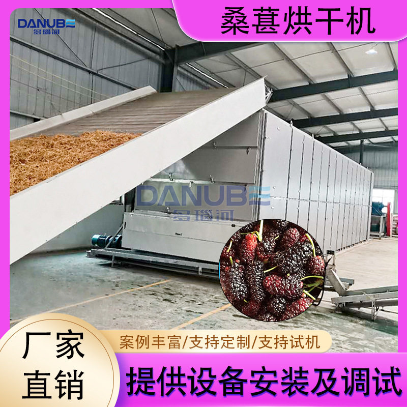 连续式桑葚烘干机 全自动桑果桑椹子干燥机 大型桑蔗紫果烘干设备