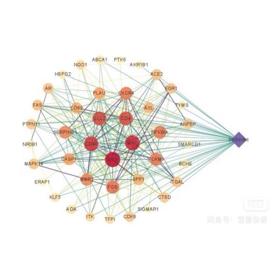 分子动力学模拟gromacs分子模拟仿真