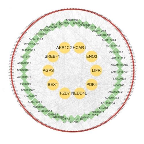 网络药理学生信分析核心SCI套餐中药复方分子对接