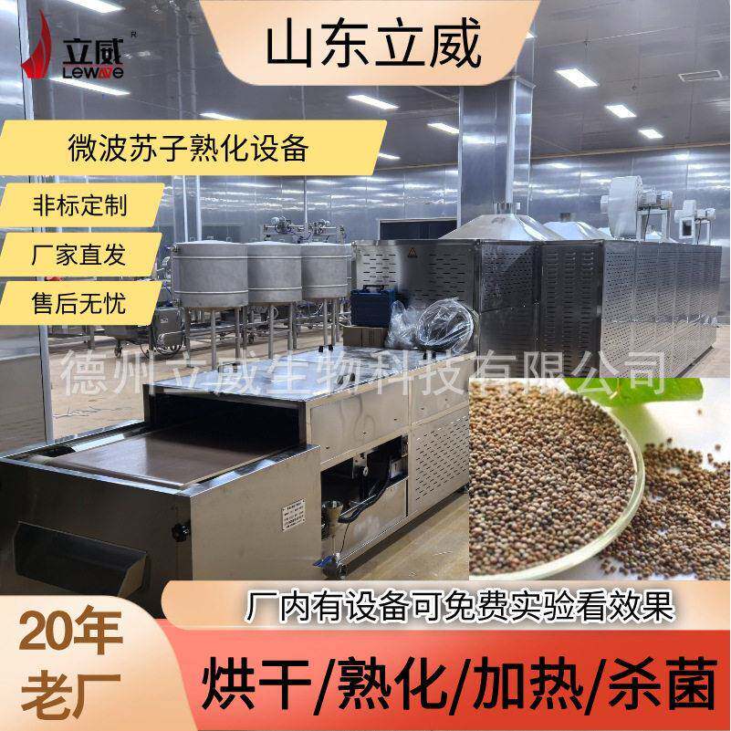 立威苏子熟化干燥机花生米杂粮低温烘焙机器智能化预熟机器