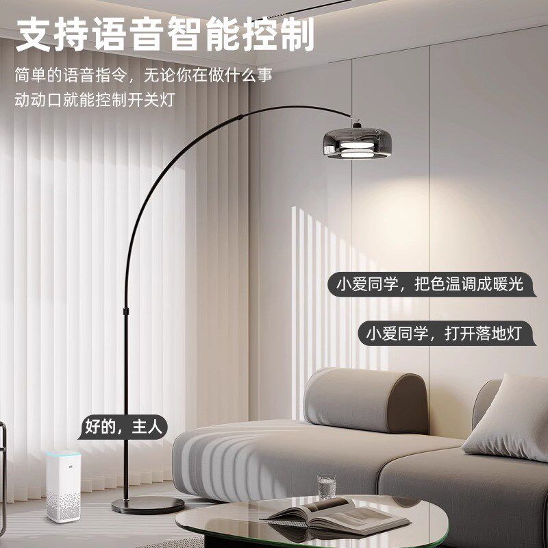 意式极简轻奢高级感落地灯客厅护眼氛围钓鱼灯卧室床头立式台灯具