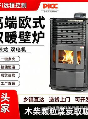 欧式生物取暖炉木柴两用采暖炉冬季家用无烟节能燃料取暖