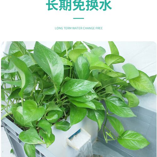 龟箱乌龟缸周转箱沼泽过滤箱水道生态缸瀑布出水鱼龟混养饲养盒