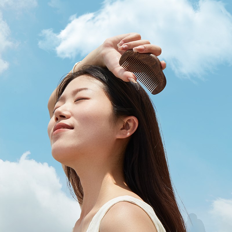 初心黑金檀木梳子女家用小扁梳头皮顺发梳随身便携密齿梳天然实木