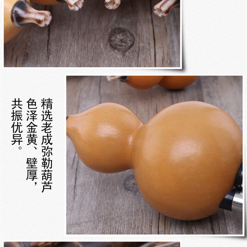 葫芦丝乐器初学者小f/d调降b调a调g调大f/e调c调学生成人专业演奏