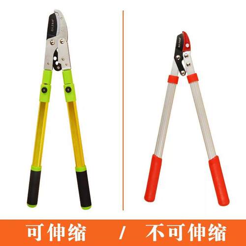 粗枝剪修枝剪修剪树枝果树剪刀高空剪园艺省力伸缩大力剪园林工具