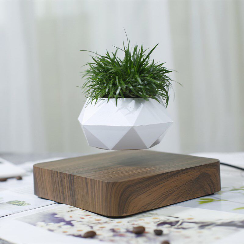 磁悬浮盆栽植物盆景客厅家居摆件网红创意工艺品乔迁新居礼物