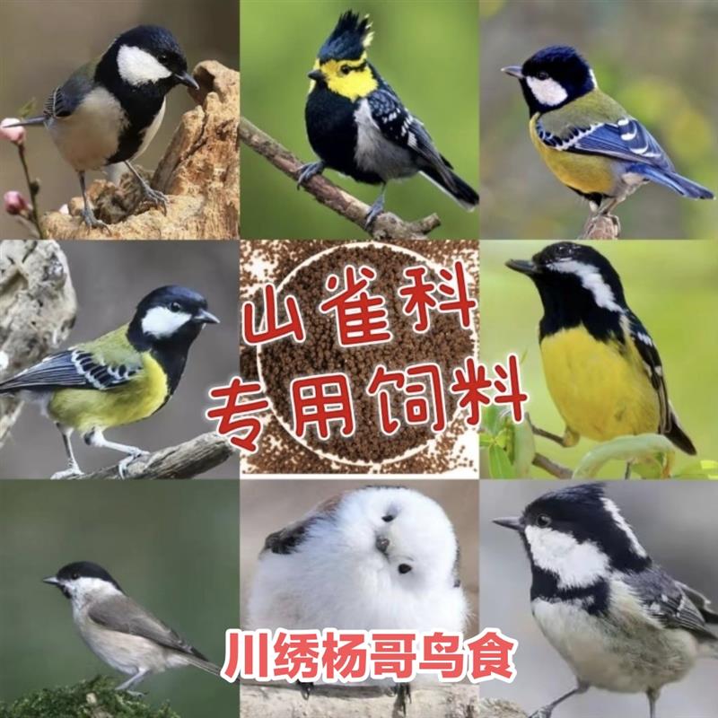 山雀鸟食鸟粮饲料银喉长尾绿背黄腹贝子大山雀黄颊红子煤沼泽山雀