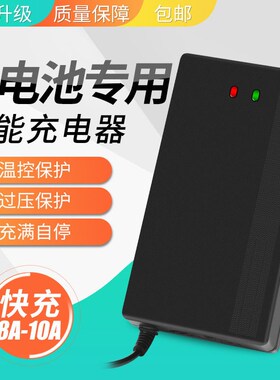 电动车锂电池充电器48V60V72V5A8A磷酸铁锂三元聚合物54.6V71.4V