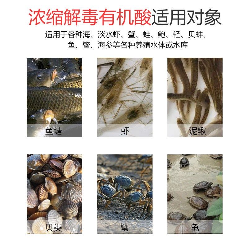 有机酸解毒水产养殖果酸虾蟹蛙鱼塘调水除油膜稳定ph解藻毒碧水安