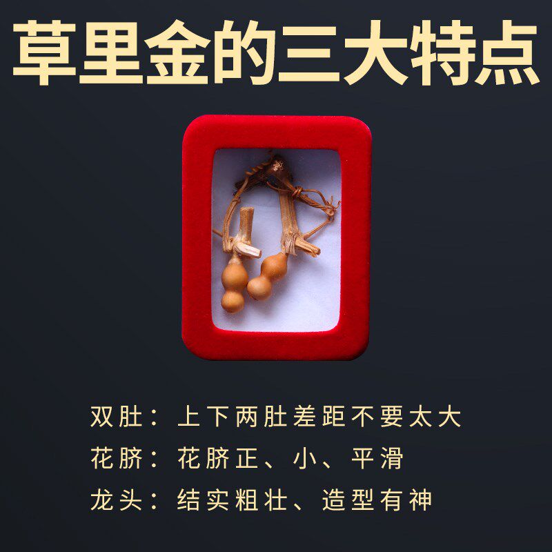 文玩特小葫芦手把件真天然挂件草里金手串配件高端手捻迷你胡芦路