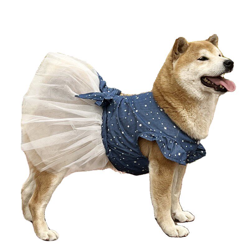 中大型犬狗狗牛仔裙金毛萨摩柴犬拉布拉多春夏薄款可爱花边公主裙