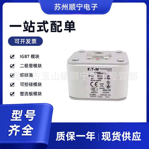 170M6524  170M6534  170M6538熔断器保险丝 全新原装 型号齐全