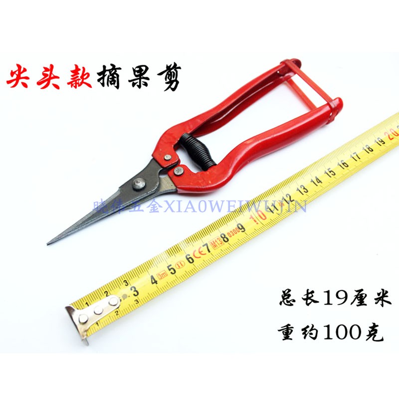 高碳钢摘果剪园艺疏果器葡萄剪水果剪刀全钢枝剪小号园林剪枝工具图片