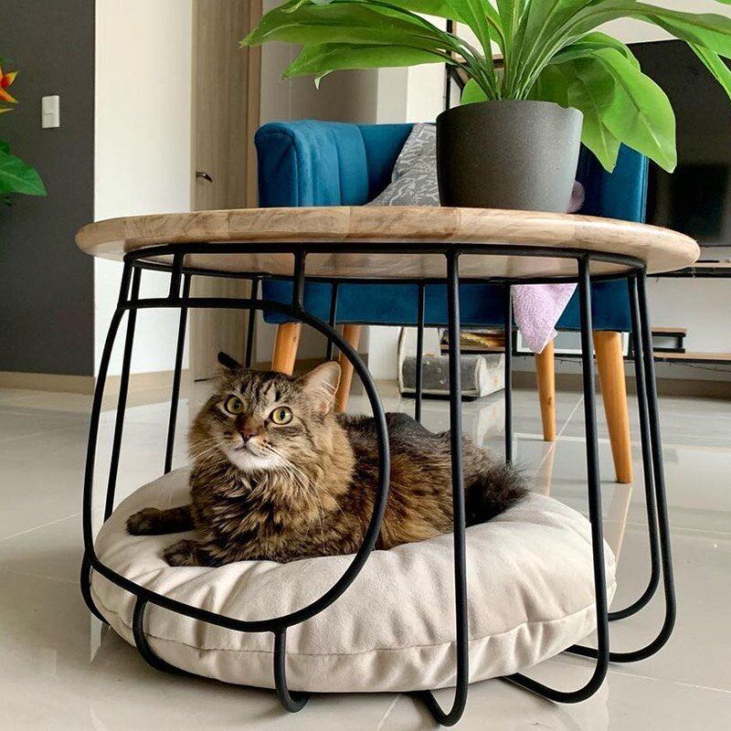实木猫窝茶几创意宠物家具 人宠共用 多功能铁艺茶几网红客厅边几