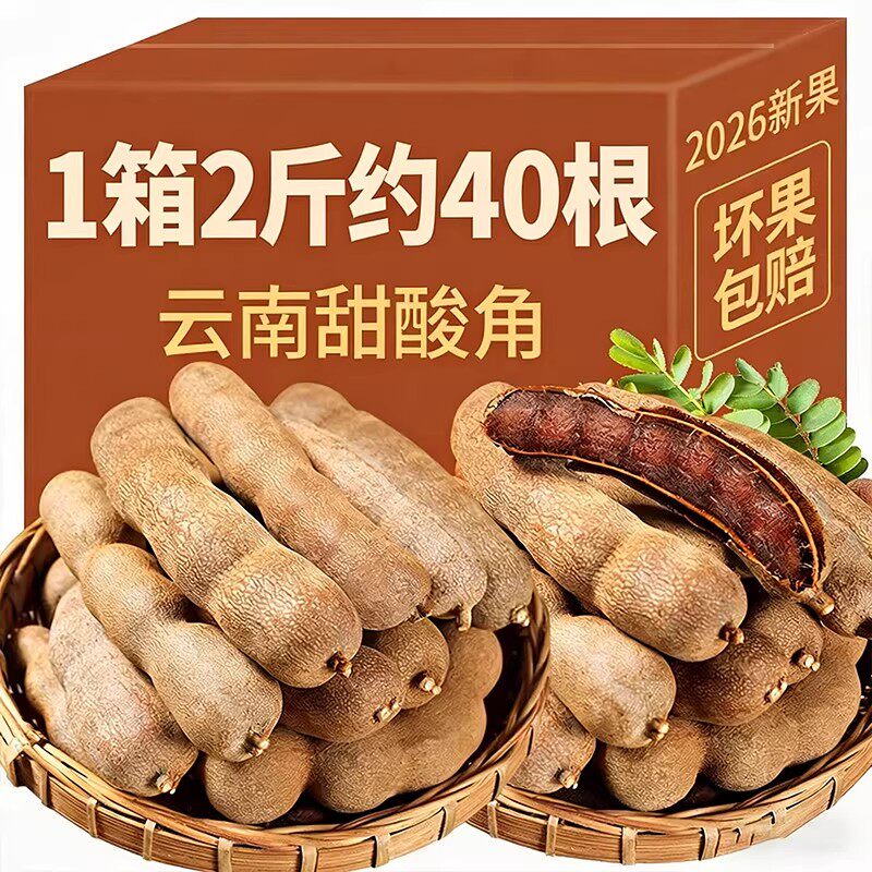 甜酸角云南特产新鲜野生大甜角孕妇零食水果豆角南酸枣罗望子酸角