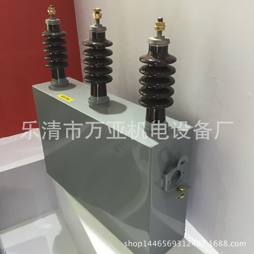 BFM6.3-100-3W 三相高压并联电力电容器 BWF6.3 AFM6.3