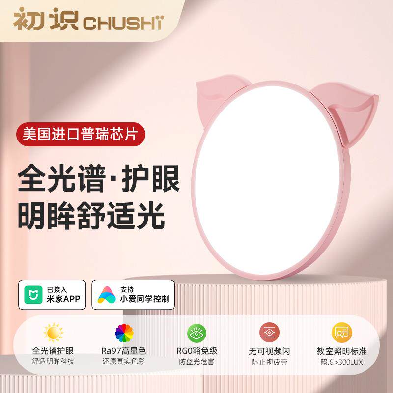 初识照明全光谱护眼儿童房吸顶灯卧室灯男孩女孩可爱小猪动物灯具