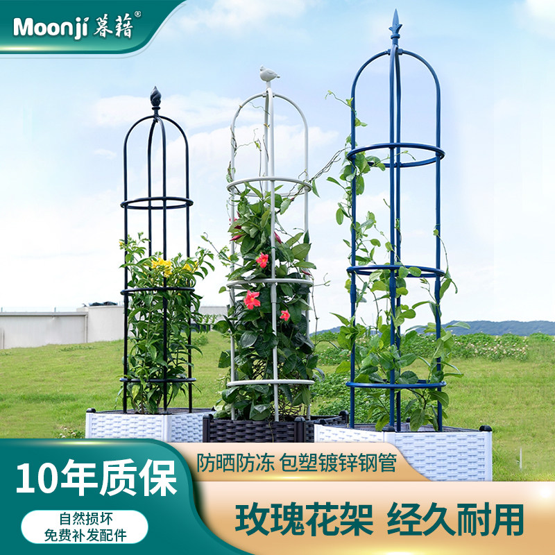 玫瑰花架爬藤架月季铁线莲花盆支架阳台室外攀爬植物架子杆支撑杆