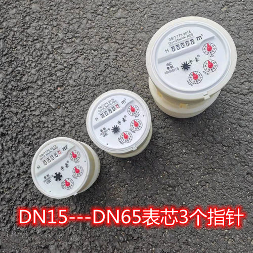 水表芯机芯内芯配件46分DN15 20 25 32 40 50 65立式平式冷水热水