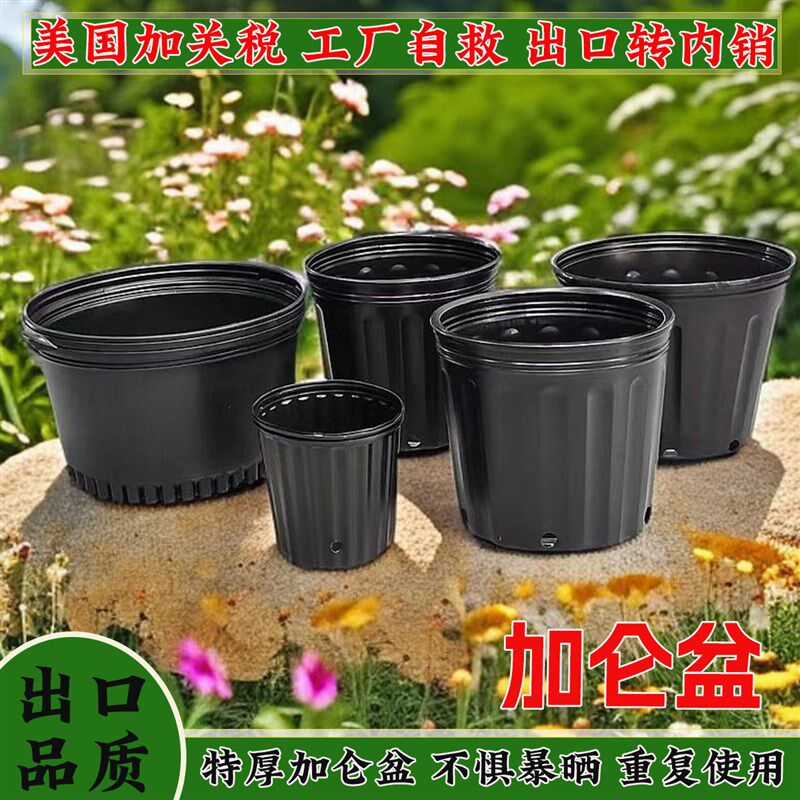 黑色加仑盆加厚软塑料花盆阳台育苗杯防老化重复使用育苗盆营养钵