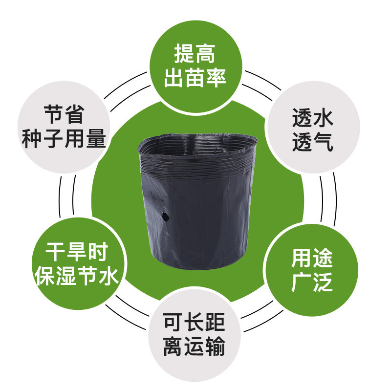 营养钵育苗盆营养袋营养杯育苗种植穴盆育苗杯一次性加厚塑料穴盘
